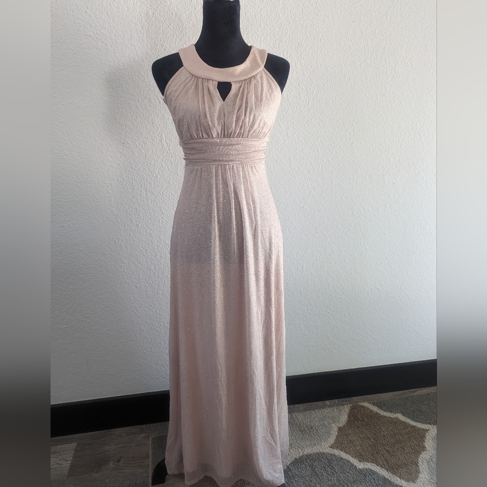 Enfocus Studios Champagne Dinner dress 4P